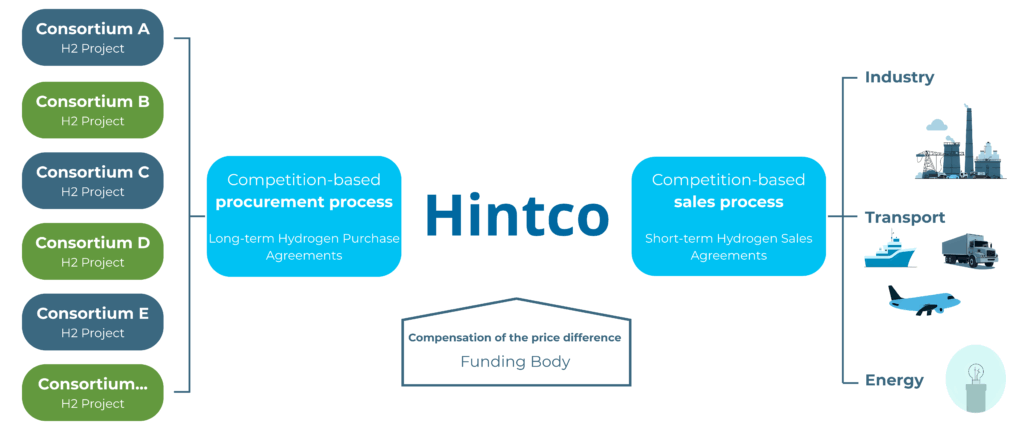 A flowchart illustrating a five-column hydrogen trading scheme with projects on the left, a procurement process flowing to a central entity called Hintco, which connects to a sales process and end-use sectors on the right. Arrows and brackets indicate direction of flows.